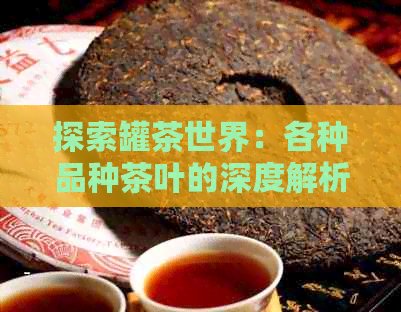 探索罐茶世界：各种品种茶叶的深度解析