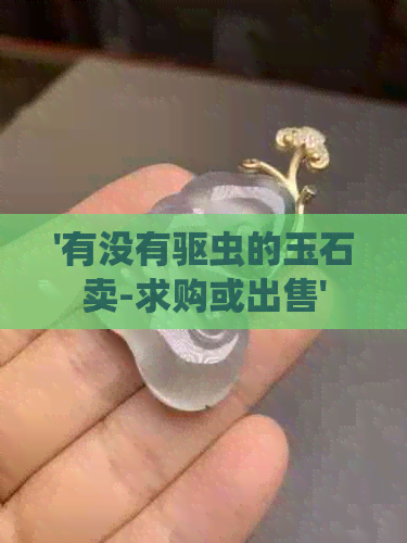 '有没有驱虫的玉石卖-求购或出售'