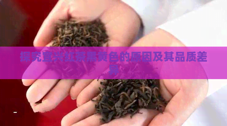 探究宜兴红茶黑黄色的原因及其品质差异