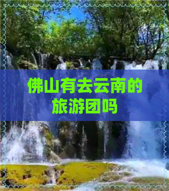 佛山有去云南的旅游团吗