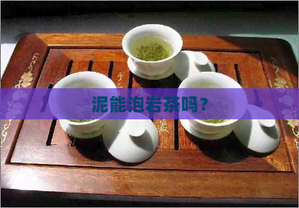 泥能泡岩茶吗？