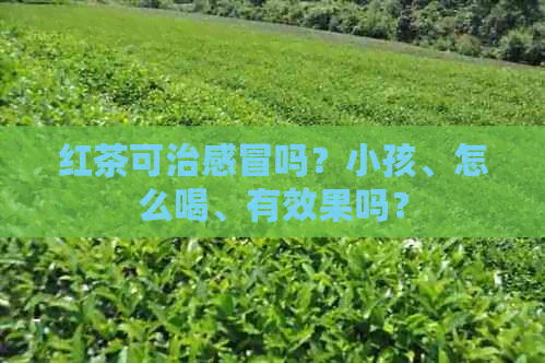 红茶可治感冒吗？小孩、怎么喝、有效果吗？