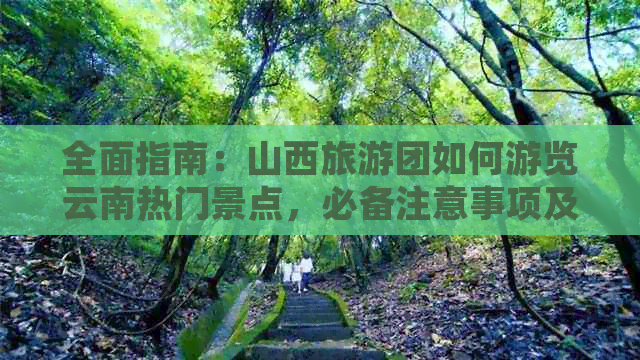 全面指南：山西旅游团如何游览云南热门景点，必备注意事项及行程规划