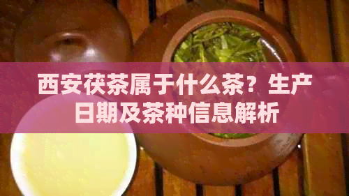 西安茯茶属于什么茶？生产日期及茶种信息解析