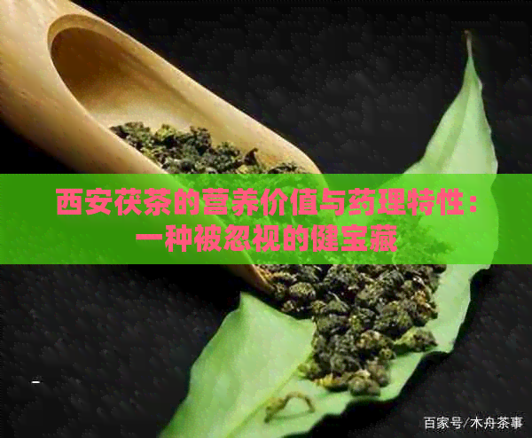 西安茯茶的营养价值与药理特性：一种被忽视的健宝藏