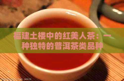 福建土楼中的红美人茶：一种独特的普洱茶类品种