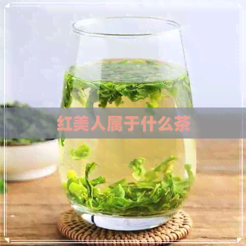 红美人属于什么茶