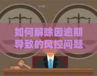 如何解除因逾期导致的风控问题：全面攻略与解决方法