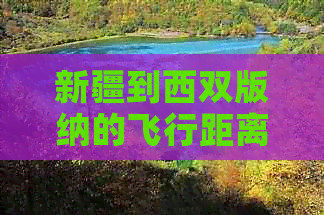 新疆到西双版纳的飞行距离、机票价格和时间最省钱的方式。