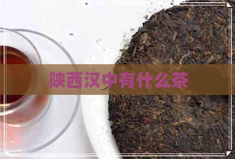 陕西汉中有什么茶