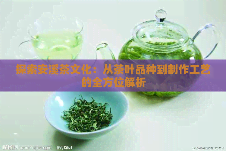 探索安溪茶文化：从茶叶品种到制作工艺的全方位解析