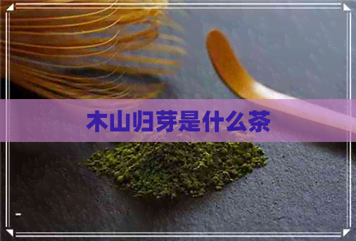 木山归芽是什么茶