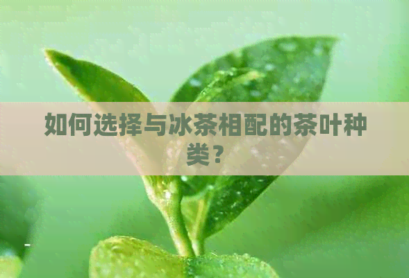 如何选择与冰茶相配的茶叶种类？