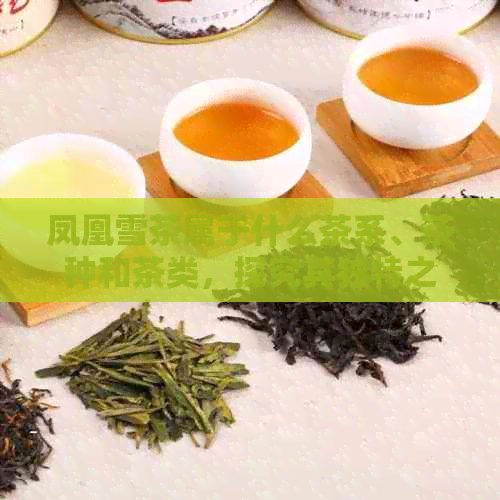 凤凰雪茶属于什么茶系、茶种和茶类，探究其独特之处。