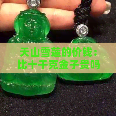 天山雪莲的价钱：比十千克金子贵吗？多少钱一斤？具体多少？