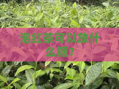 泡红茶可以放什么糖？