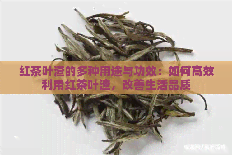 红茶叶渣的多种用途与功效：如何高效利用红茶叶渣，改善生活品质