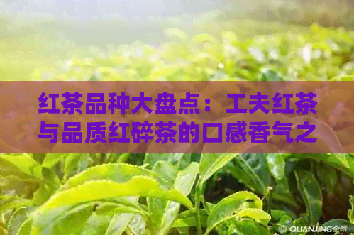 红茶品种大盘点：工夫红茶与品质红碎茶的口感香气之别，哪种更受喜爱？