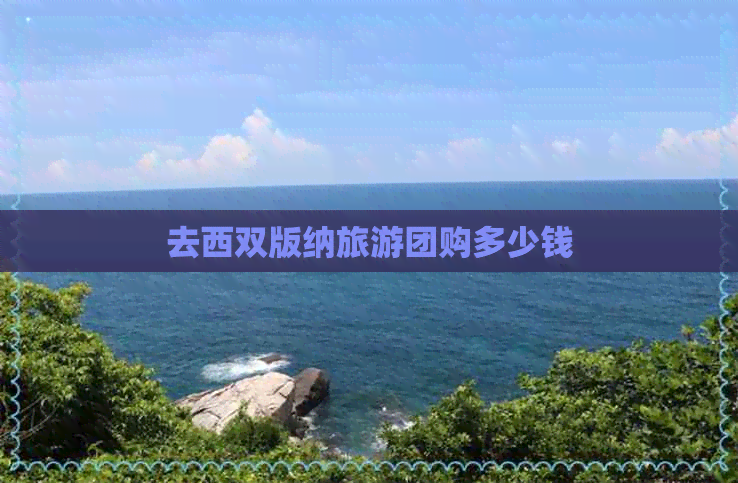 去西双版纳旅游团购多少钱