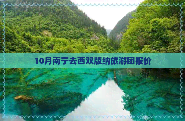 10月南宁去西双版纳旅游团报价