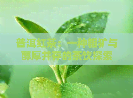 普洱红茶：一种粗犷与醇厚并存的茶饮探索