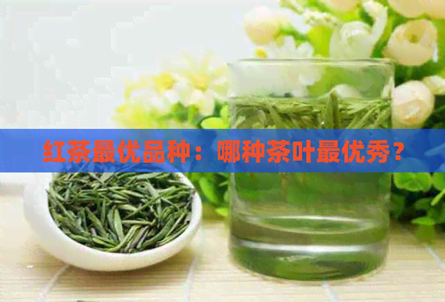 红茶更优品种：哪种茶叶更优秀？