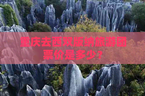 重庆去西双版纳旅游团票价是多少？