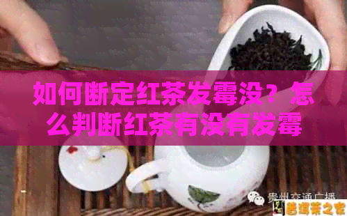 如何断定红茶发霉没？怎么判断红茶有没有发霉？