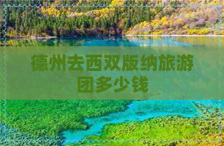 德州去西双版纳旅游团多少钱