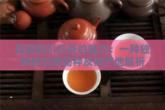 探寻利川红茶的魅力：一种独特的红茶品种及其产地解析