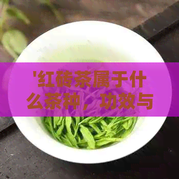 '红砖茶属于什么茶种，功效与禁忌——全面解析红砖茶的种类和特性'