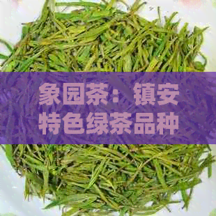 象园茶：镇安特色绿茶品种的魅力与品味