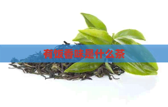 有饭香味是什么茶