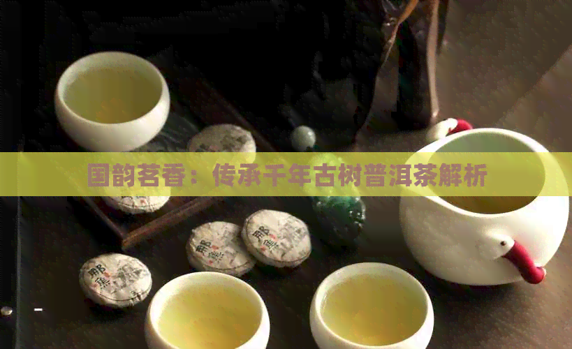 国韵茗香：传承千年古树普洱茶解析