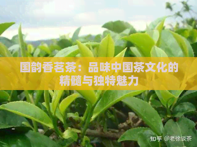 国韵香茗茶：品味中国茶文化的精髓与独特魅力