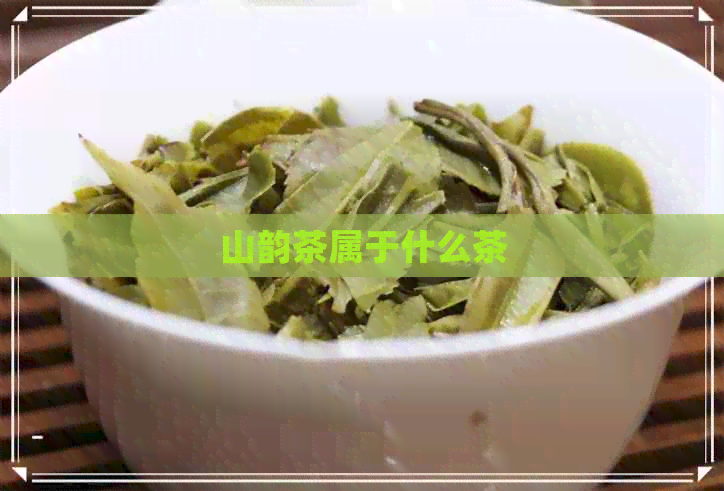 山韵茶属于什么茶