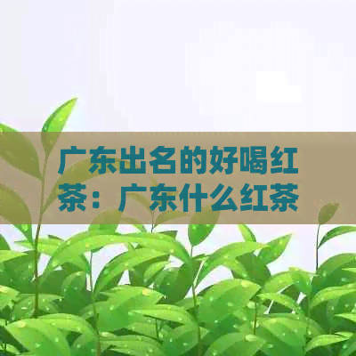 广东出名的好喝红茶：广东什么红茶出名又好喝