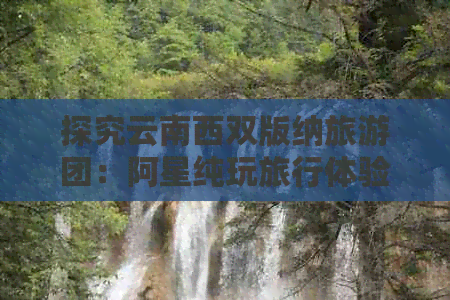 探究云南西双版纳旅游团：阿星纯玩旅行体验