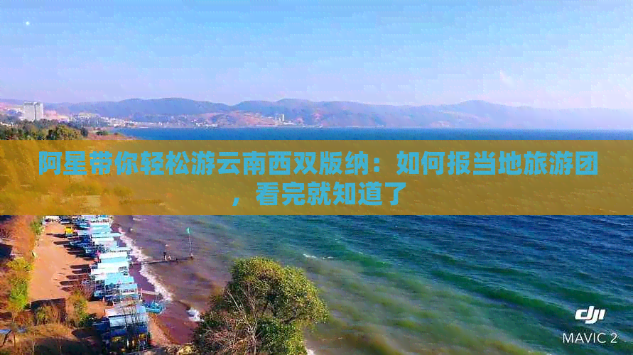 阿星带你轻松游云南西双版纳：如何报当地旅游团，看完就知道了