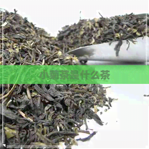 小菊茶是什么茶