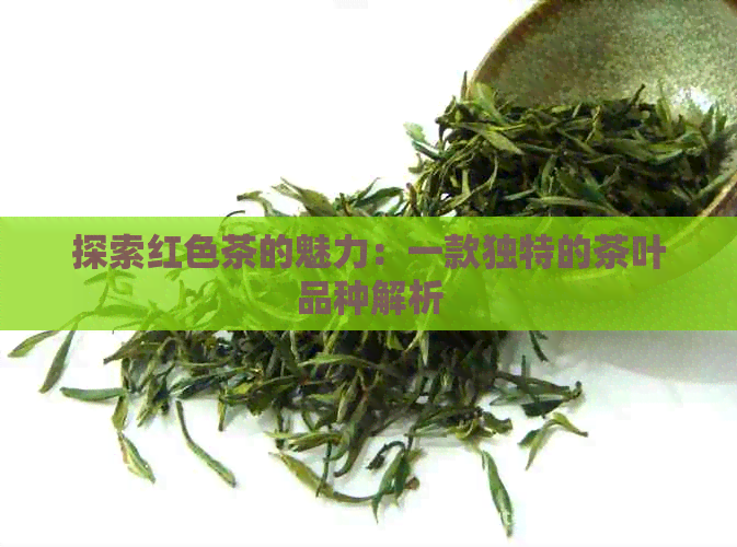 探索红色茶的魅力：一款独特的茶叶品种解析