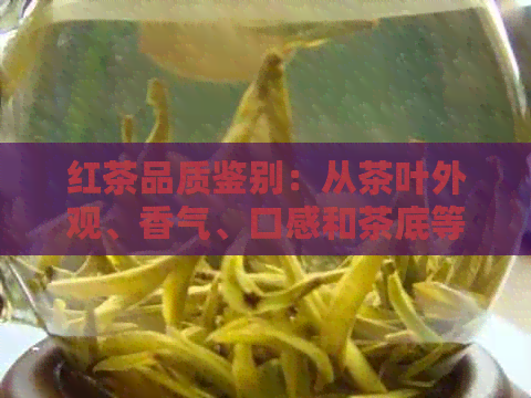 红茶品质鉴别：从茶叶外观、香气、口感和茶底等方面进行深度解读