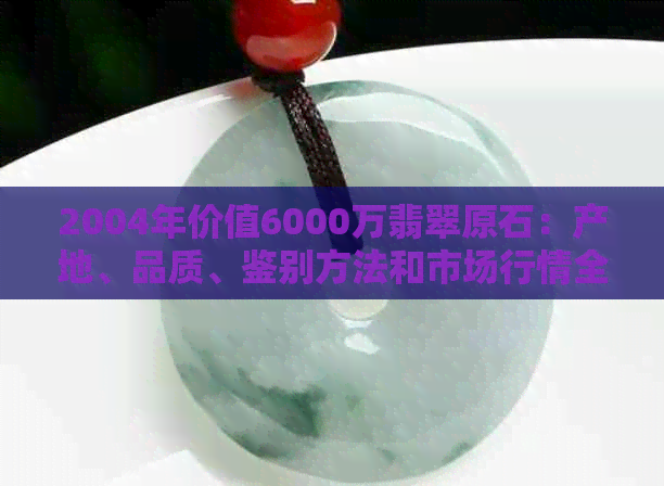 2004年价值6000万翡翠原石：产地、品质、鉴别方法和市场行情全面解析