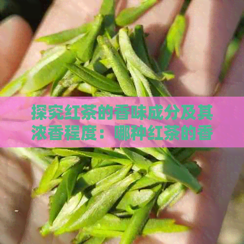 探究红茶的香味成分及其浓香程度：哪种红茶的香味最浓？