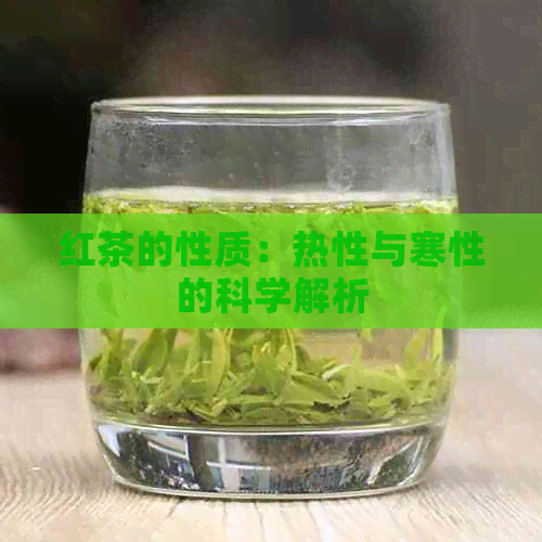 红茶的性质：热性与寒性的科学解析