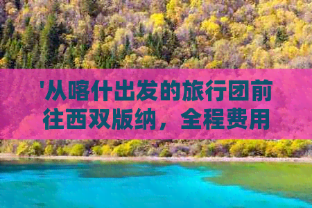 '从喀什出发的旅行团前往西双版纳，全程费用及预算分析'