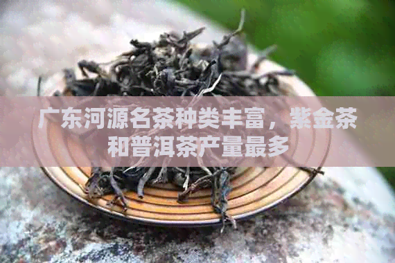 广东河源名茶种类丰富，紫金茶和普洱茶产量最多