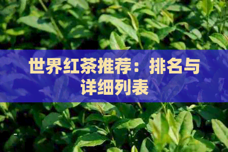 世界红茶推荐：排名与详细列表