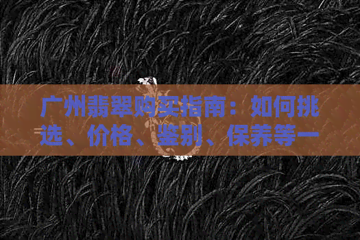 广州翡翠购买指南：如何挑选、价格、鉴别、保养等一应俱全