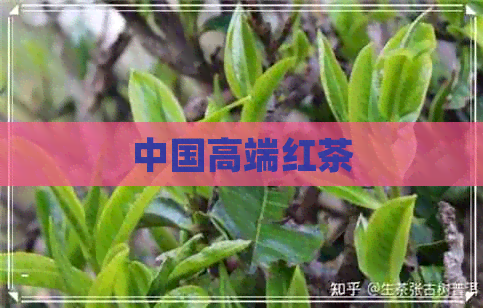 中国高端红茶